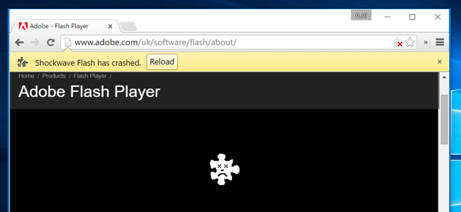 flash player for mac version check